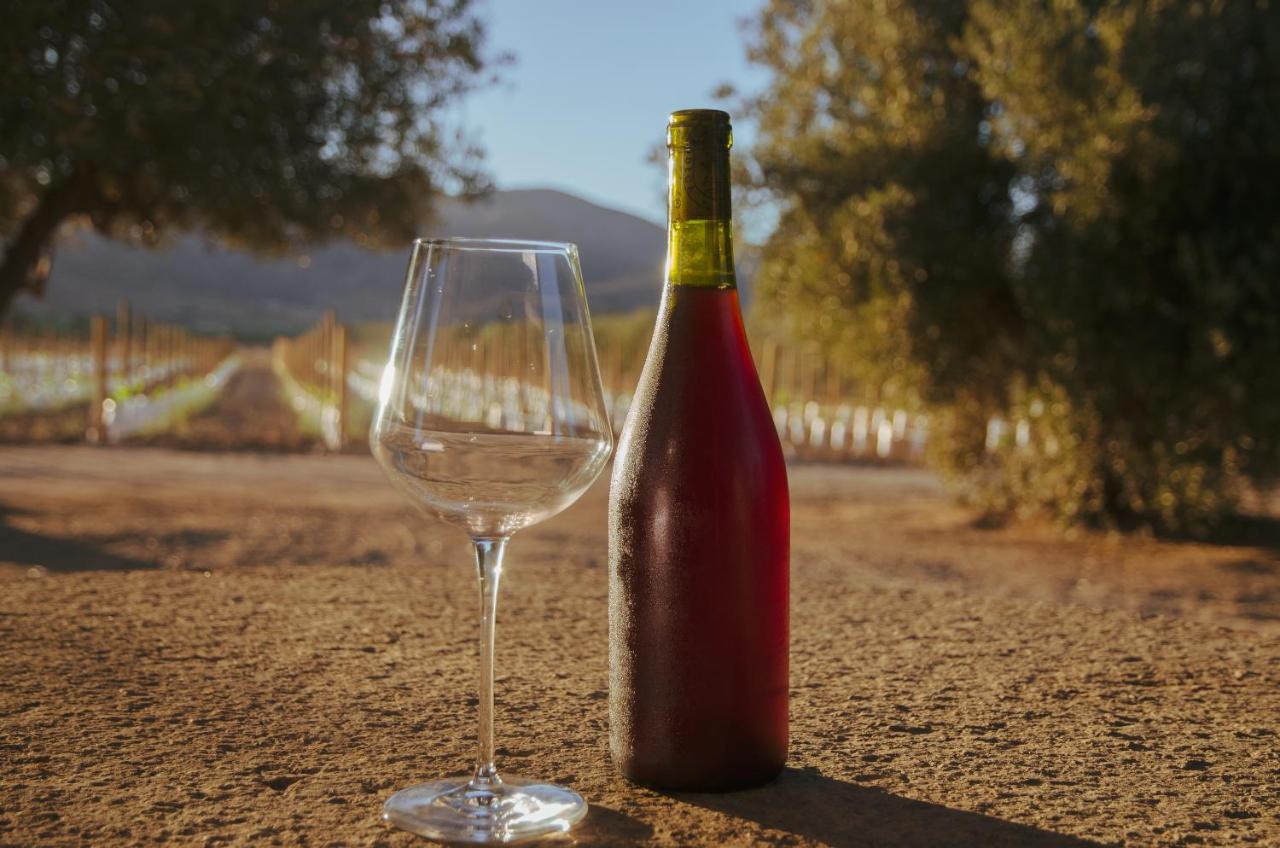 Alma Liebre Vinedos Del Valle Valle de Guadalupe Buitenkant foto